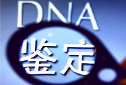 丽水司法DNA鉴定资料和流程，丽水司法DNA鉴定准确可靠吗