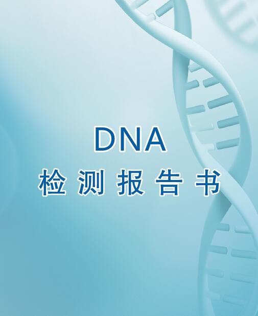 丽水亲子鉴定流程之出具报告